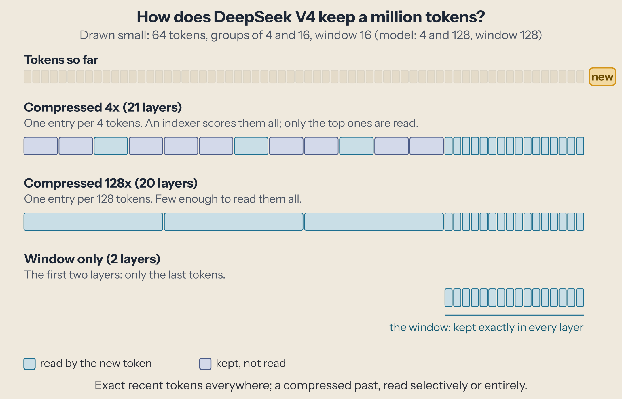 DeepSeek V4 keeps the last tokens exactly in every layer; compressed 4x layers read only the entries an indexer picks; compressed 128x layers read all their entries