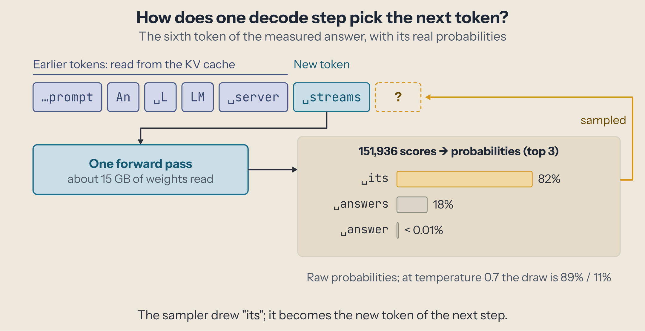 One decode step: the earlier tokens (the prompt, then An, L, LM, server) are read from the KV cache; the new token, streams, goes through one forward pass that reads about 15 GB of weights; the pass gives 151,936 scores, turned into probabilities. Top three: its 82%, answers 18%, answer below 0.01%. The sampled token, its, goes back into the sequence.